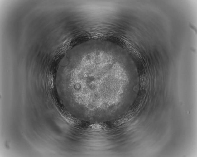 X0000096450703200802071811