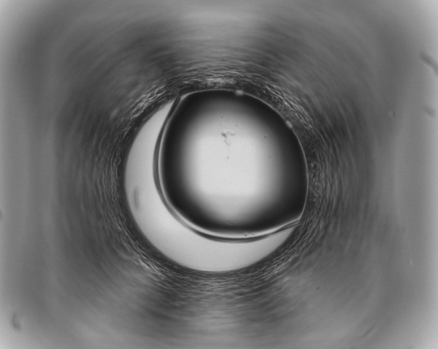 X0000096450704200802071811