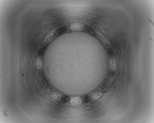 X0000096450705200802071811