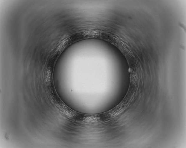 X0000096450708200802071811