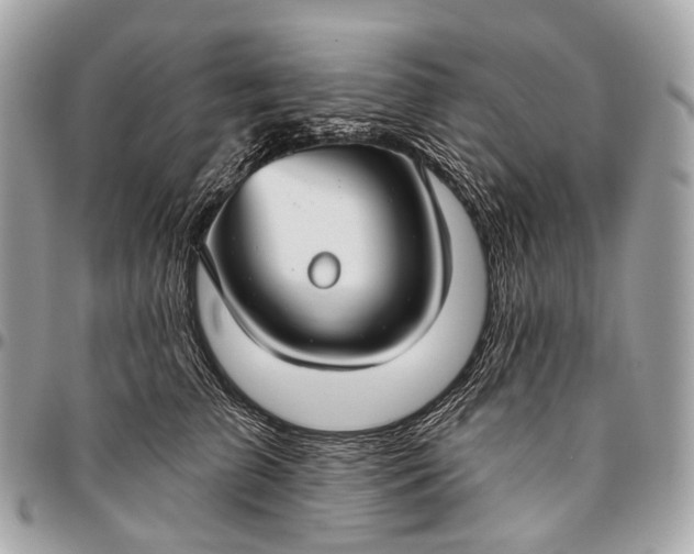 X0000096450709200802071811