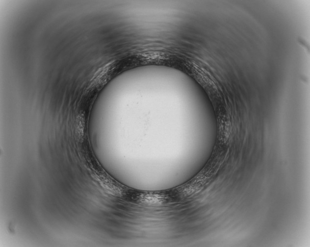 X0000096450710200802071811