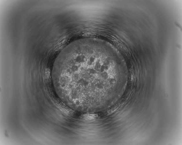 X0000096450711200802071811