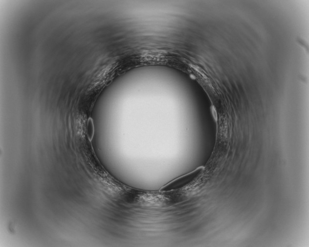 X0000096450712200802071811