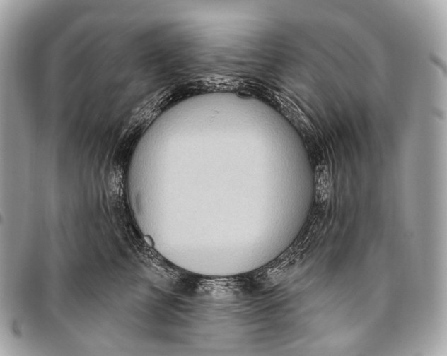 X0000096450713200802071811