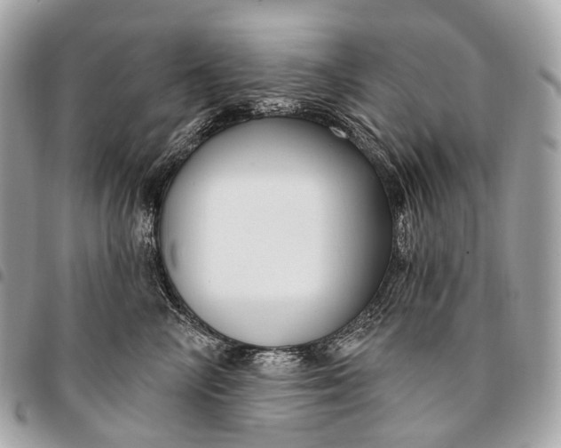 X0000096450714200802071811