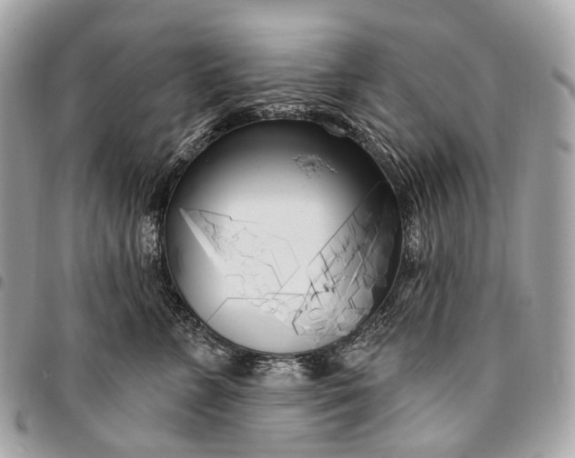 X0000096450715200802071811