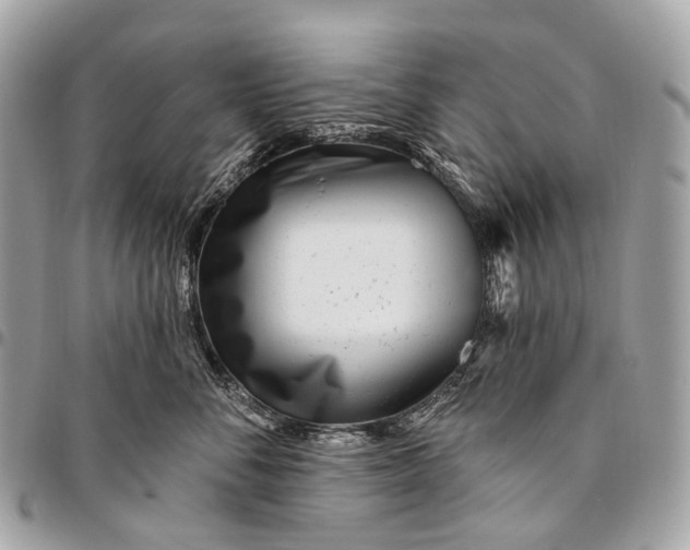 X0000096450716200802071811