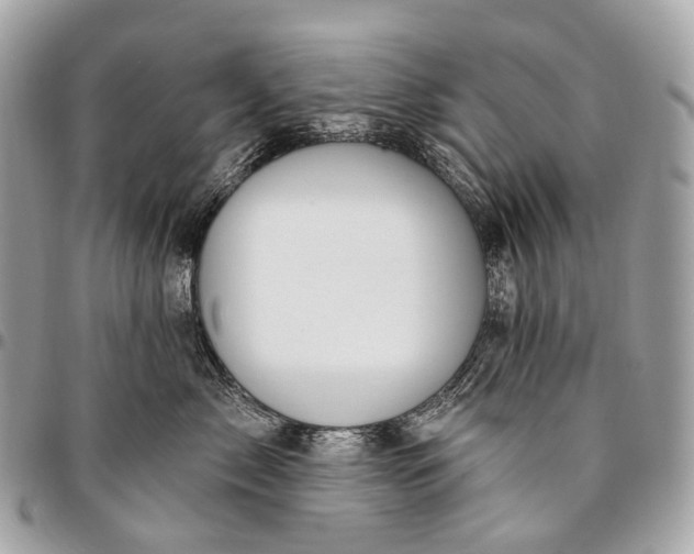 X0000096450717200802071811