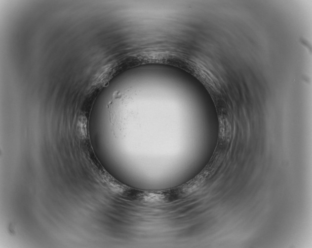 X0000096450718200802071811