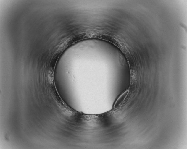 X0000096450719200802071811