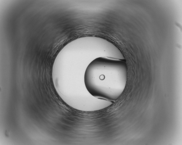 X0000096450720200802071811