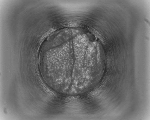 X0000096450721200802071811