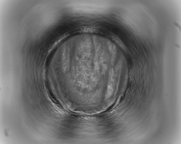 X0000096450722200802071811