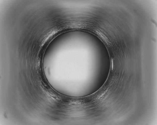 X0000096450723200802071811