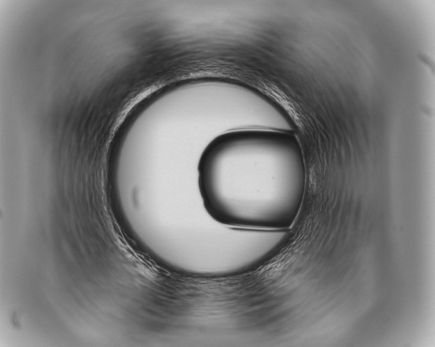 X0000096450724200802071811