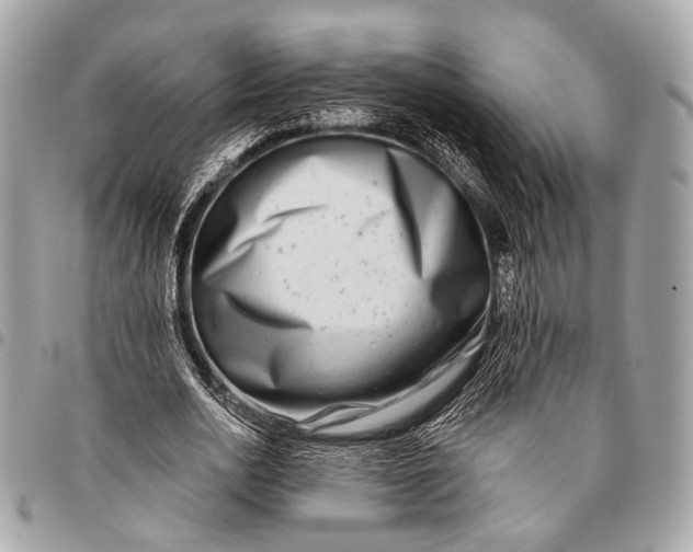 X0000096450726200802071811