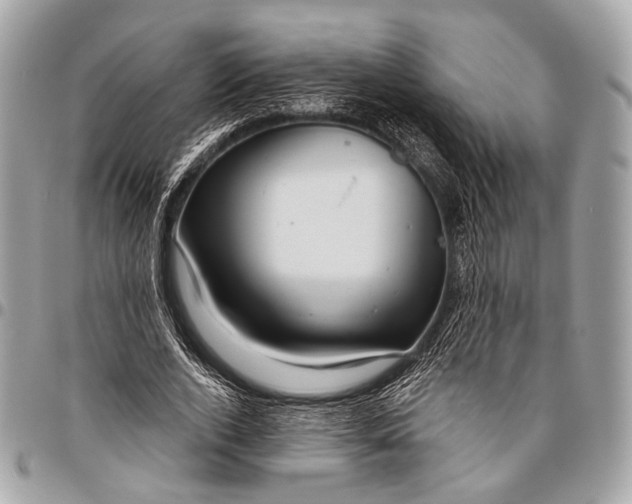 X0000096450728200802071811