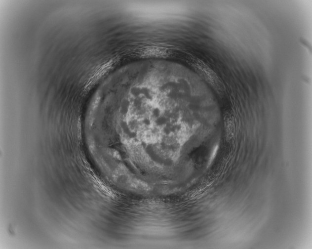 X0000096450729200802071811