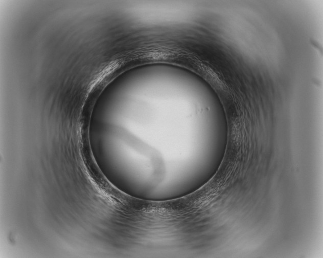 X0000096450730200802071811