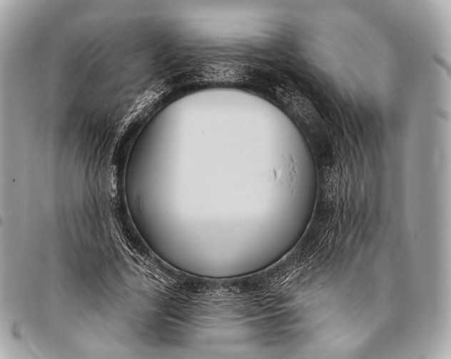 X0000096450731200802071811