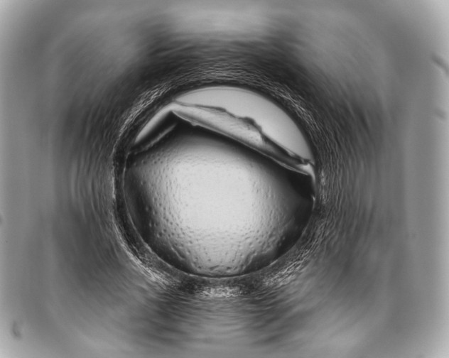 X0000096450734200802071811