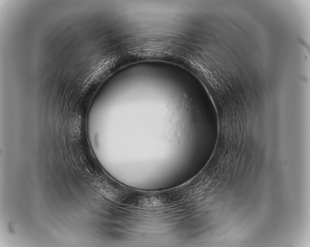 X0000096450735200802071811