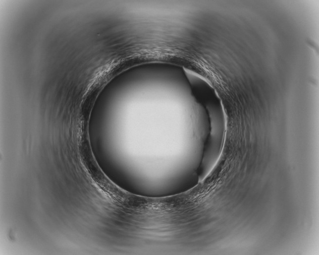 X0000096450736200802071811