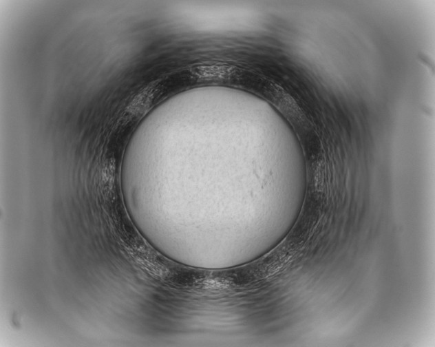 X0000096450737200802071811