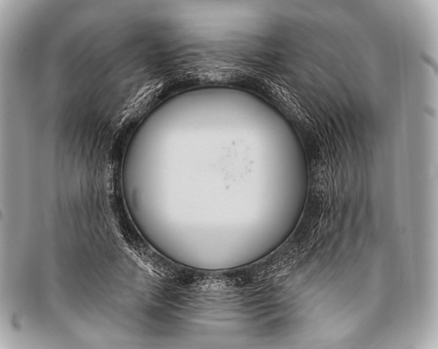 X0000096450738200802071811