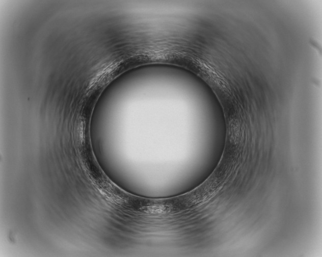 X0000096450740200802071811