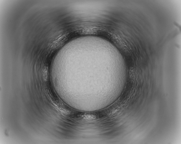 X0000096450741200802071811