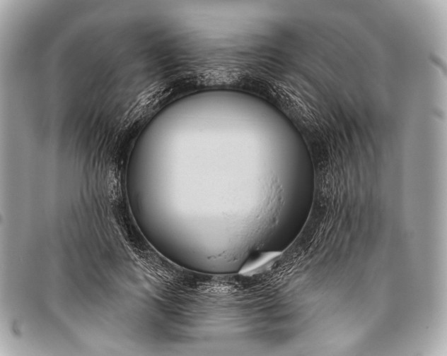 X0000096450743200802071811