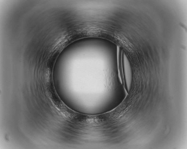 X0000096450744200802071811