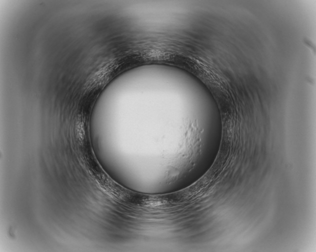 X0000096450746200802071811