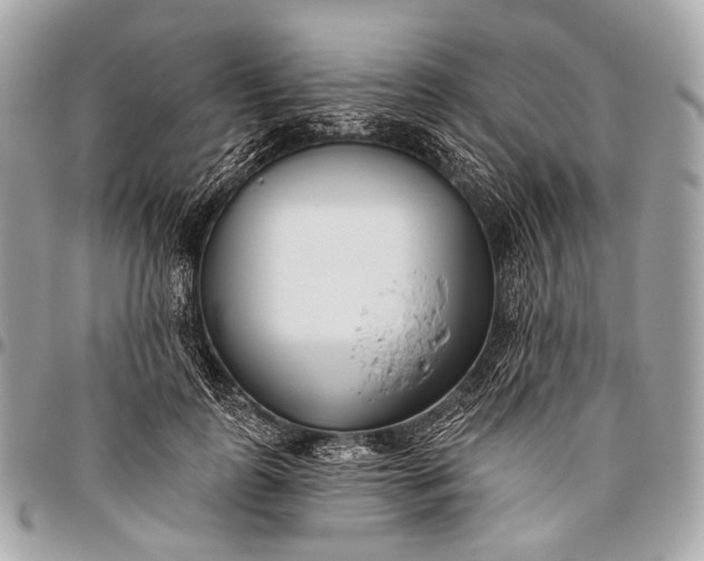 X0000096450747200802071811