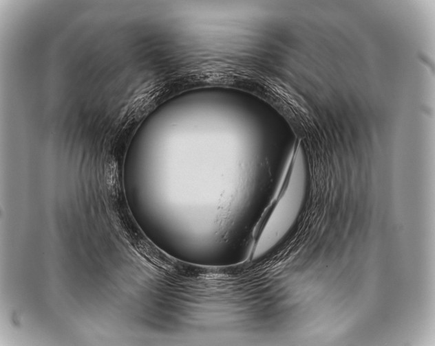 X0000096450748200802071811