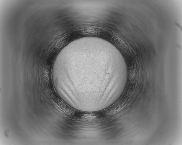 X0000096450749200802071811