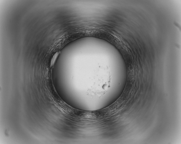 X0000096450750200802071811