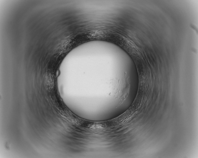 X0000096450751200802071811