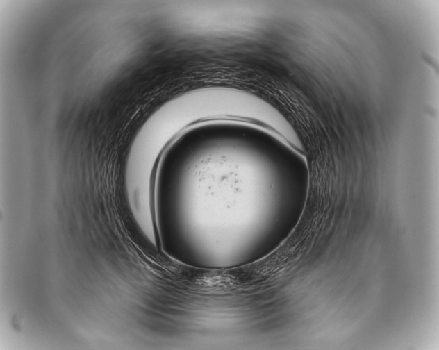 X0000096450752200802071811