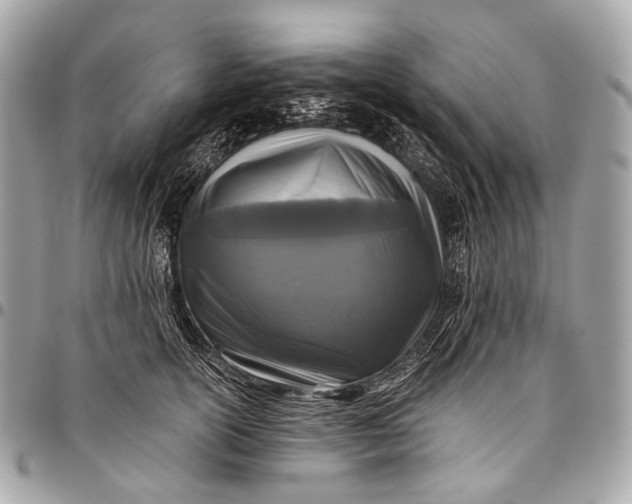 X0000096450754200802071811