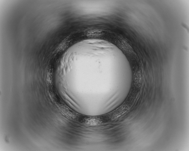 X0000096450755200802071811