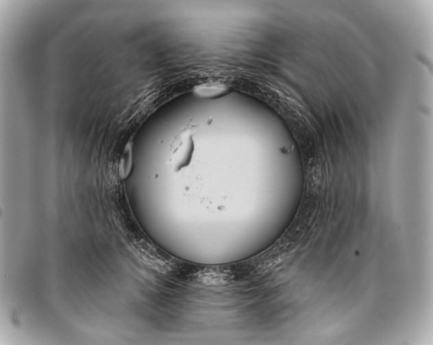 X0000096450756200802071811