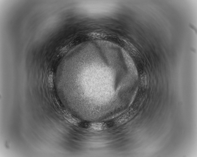 X0000096450757200802071811