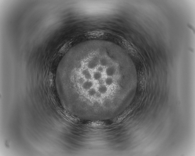 X0000096450758200802071811