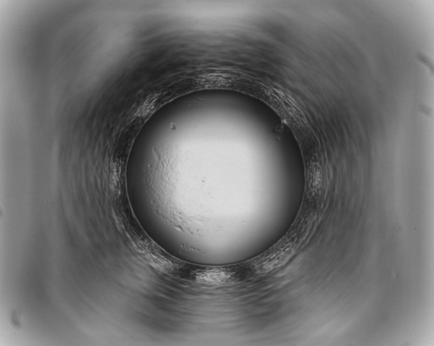 X0000096450759200802071811