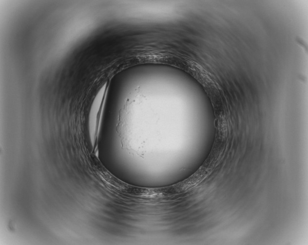 X0000096450760200802071811