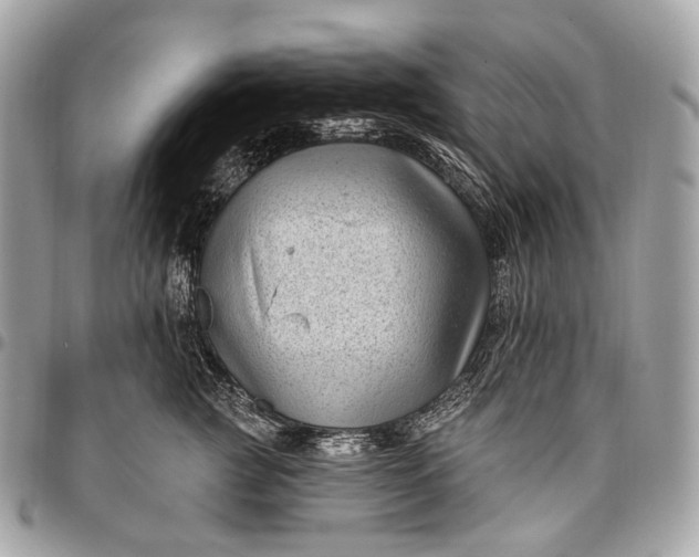 X0000096450761200802071811