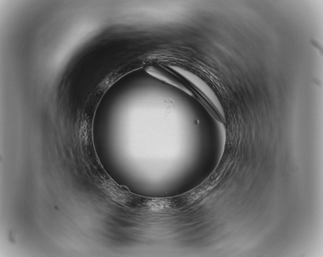 X0000096450762200802071811